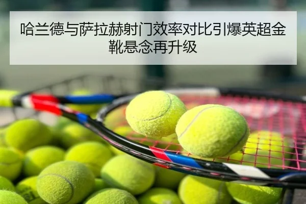 哈兰德与萨拉赫射门效率对比引爆英超金靴悬念再升级