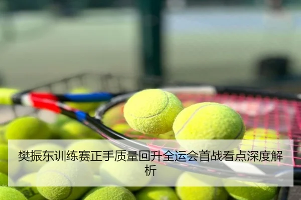 樊振东训练赛正手质量回升全运会首战看点深度解析